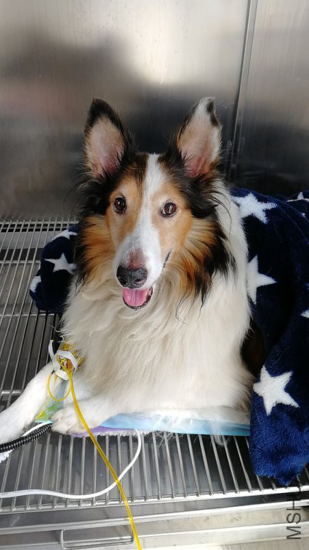 ������Һ