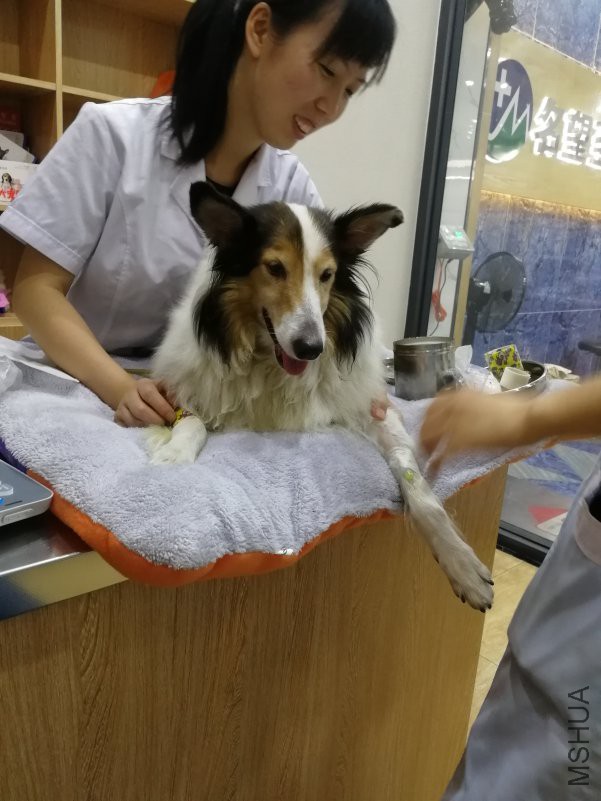 ���ţ����䶼��������