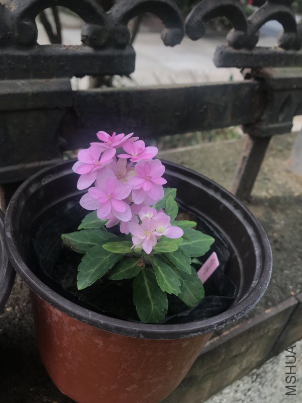 IMG_3049.JPG