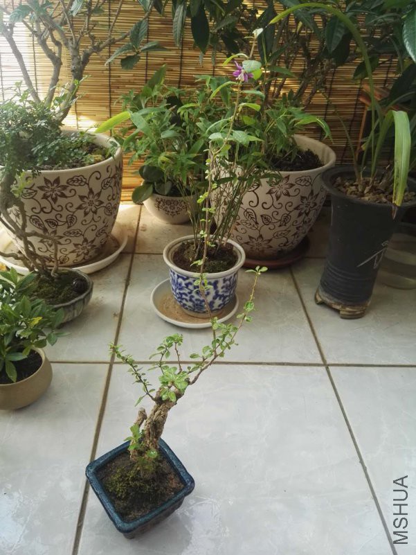 ΢��ͼƬ_201809211323438.jpg
