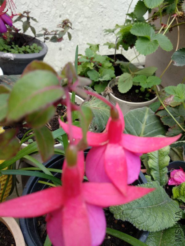 ΢��ͼƬ_20180921135824.jpg