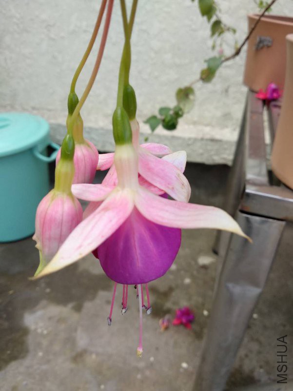 ΢��ͼƬ_20180921135830.jpg