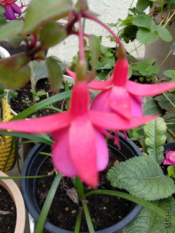 ΢��ͼƬ_20180921135839.jpg