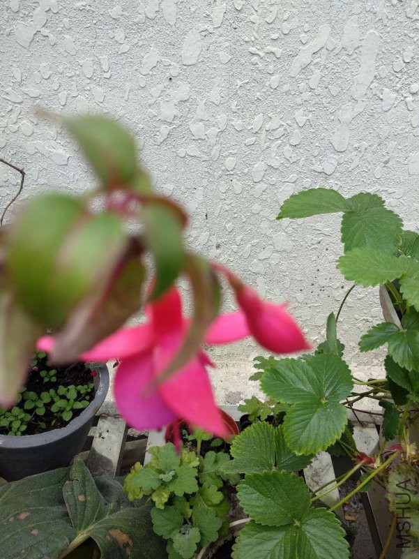 ΢��ͼƬ_20180921135844.jpg