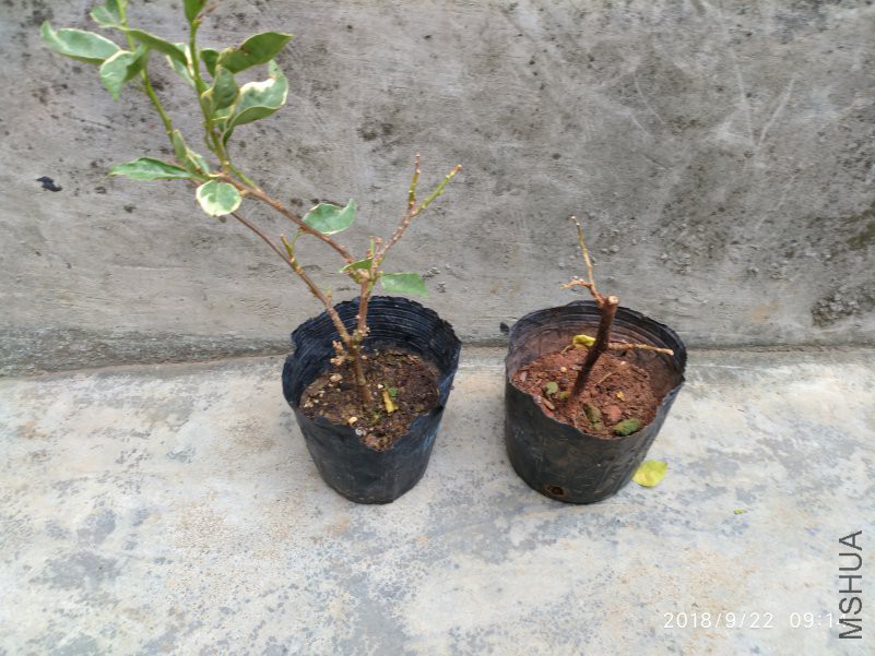΢��ͼƬ_20180922130514.jpg