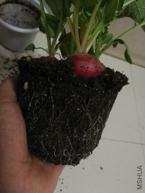 20180924093928.jpg