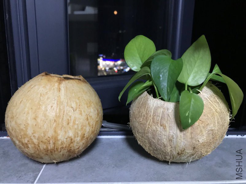 ΢��ͼƬ_20180928123817.jpg