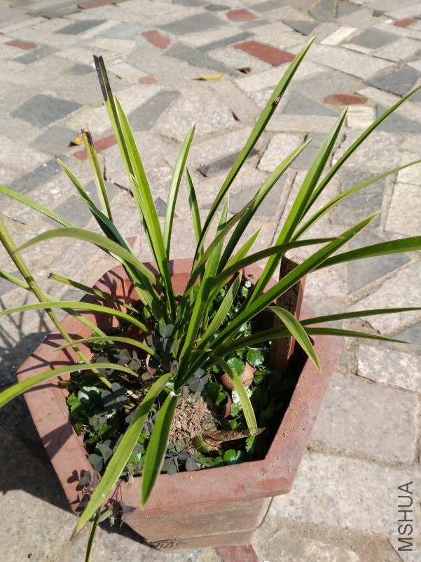 IMG_20180929_095626.jpg