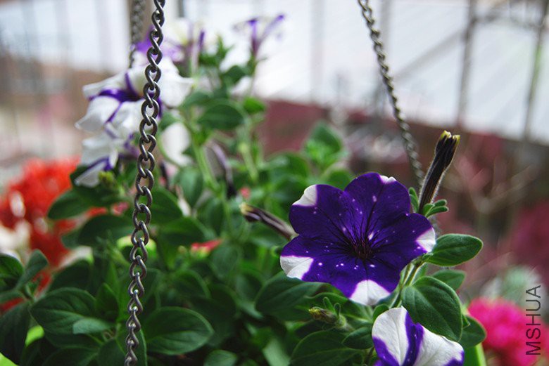DSC_0179_����.jpg