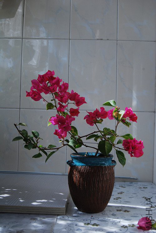 DSC_0119_����.jpg