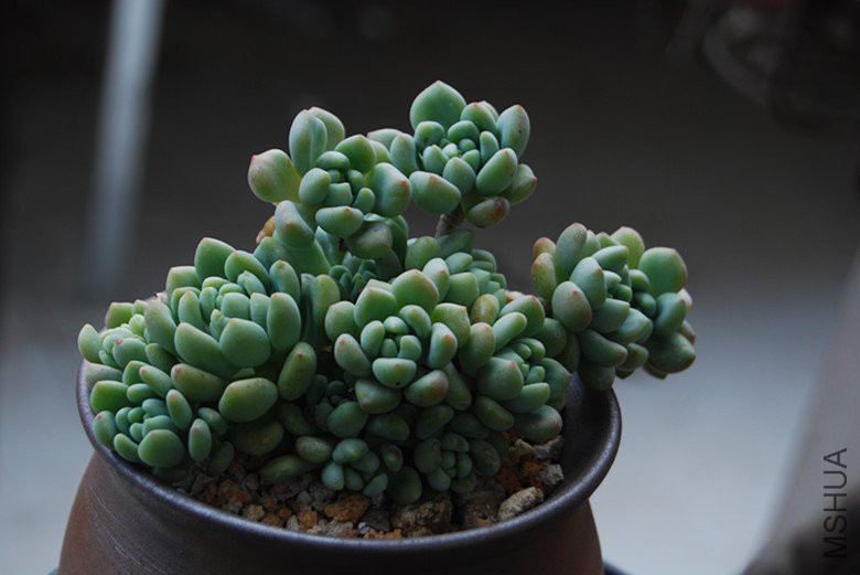 DSC_0150_����.jpg