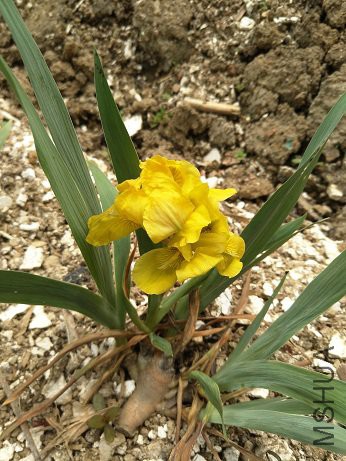 IMG20170420115559.jpg