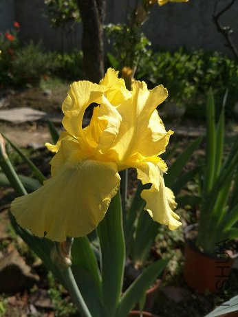 IMG20170428090448.jpg