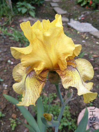 IMG20170426141150.jpg