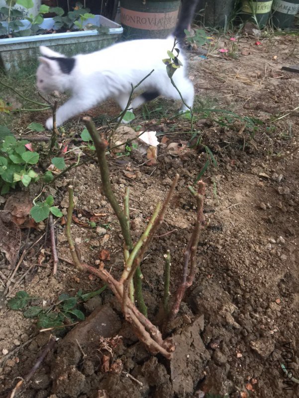 ΢��ͼƬ_20181011083439.jpg