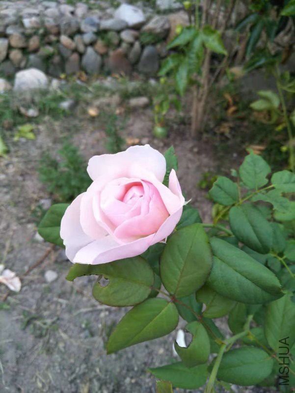 ΢��ͼƬ_20181012112348.jpg