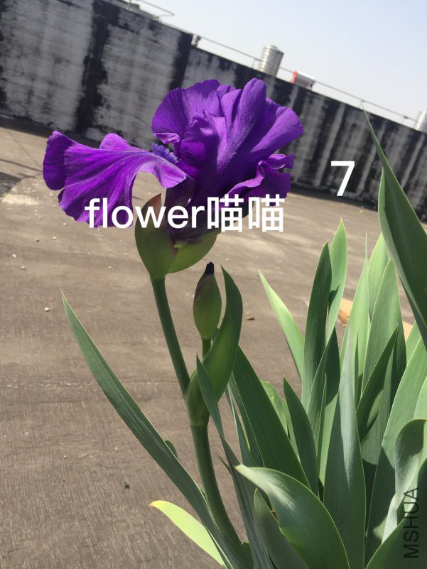 2018-04-17 102110.jpg