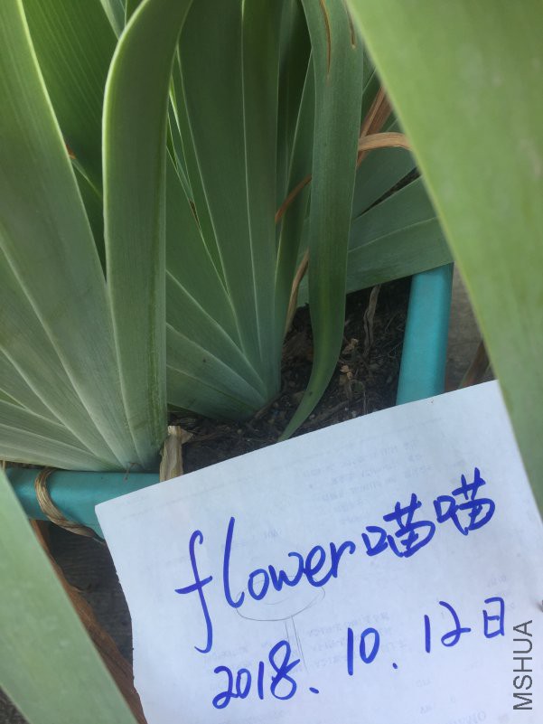 2018-10-12 140914.jpg