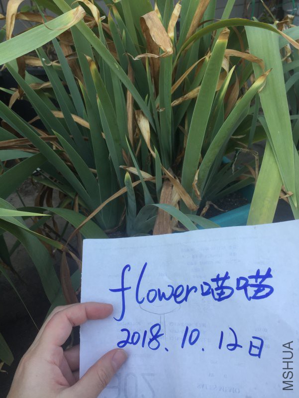 2018-10-12 140948.jpg