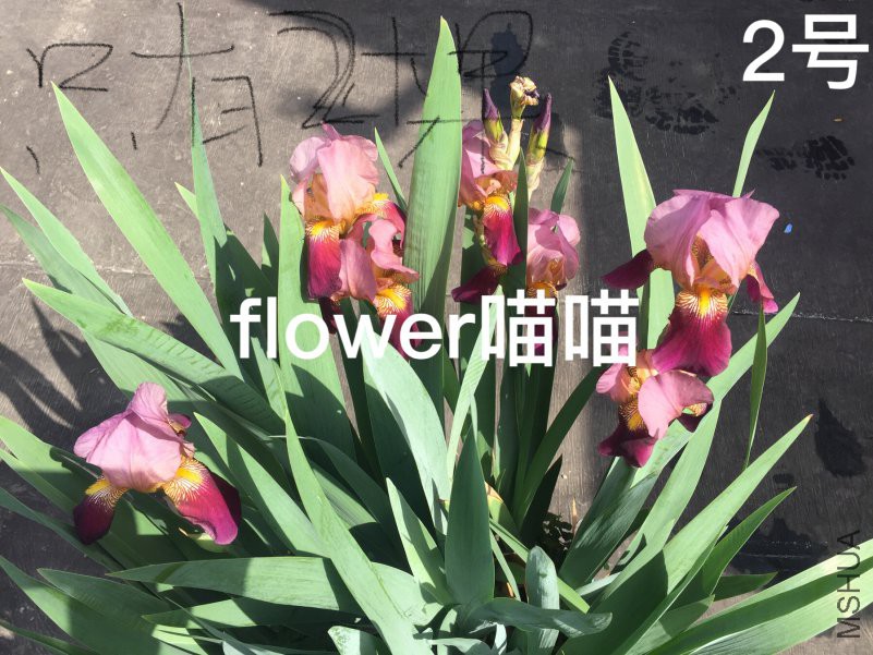2018-04-17 101113.jpg