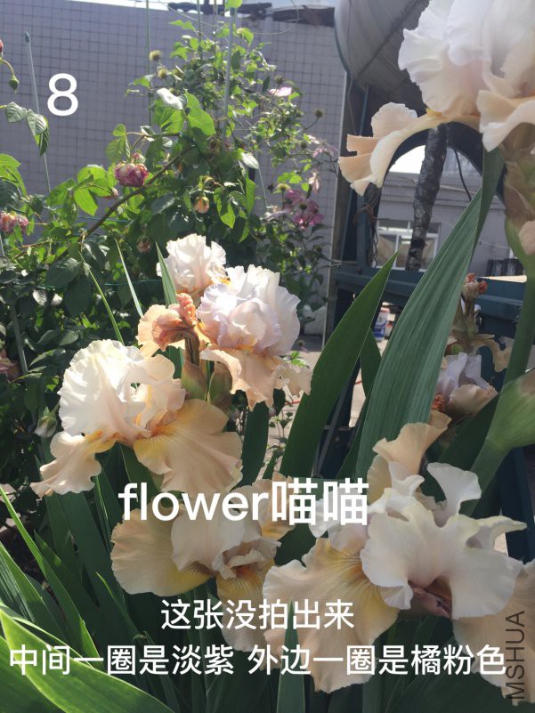 2018-04-17 102656.jpg