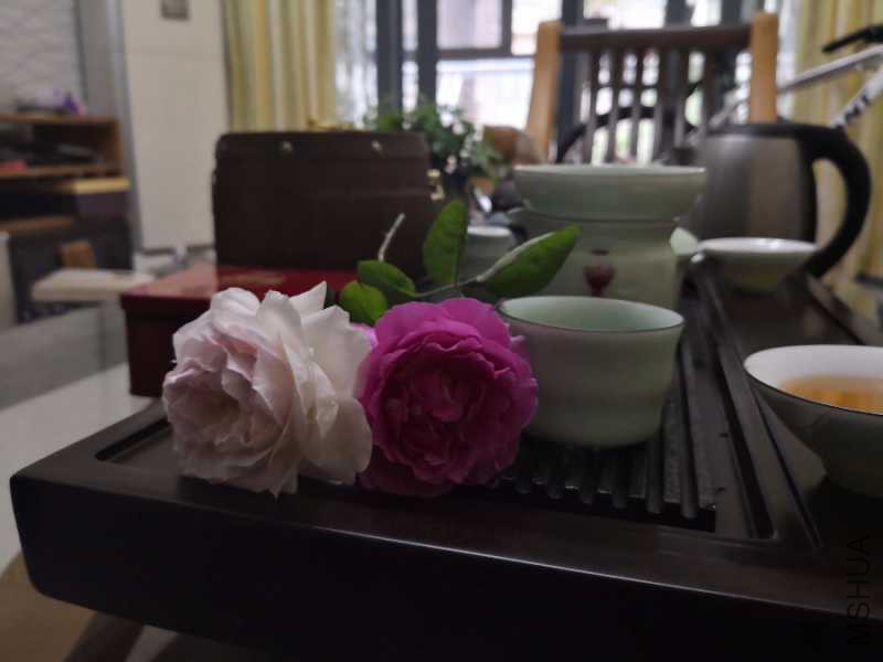 IMG_20181014_164019.jpg