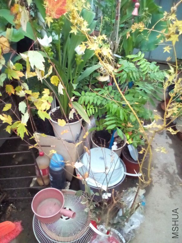 QQͼƬ20181016222002.jpg