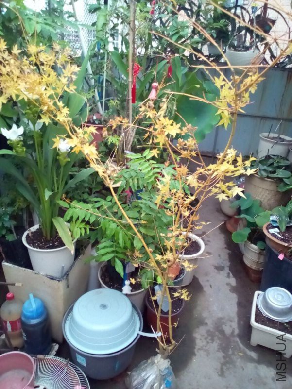 QQͼƬ20181016222006.jpg