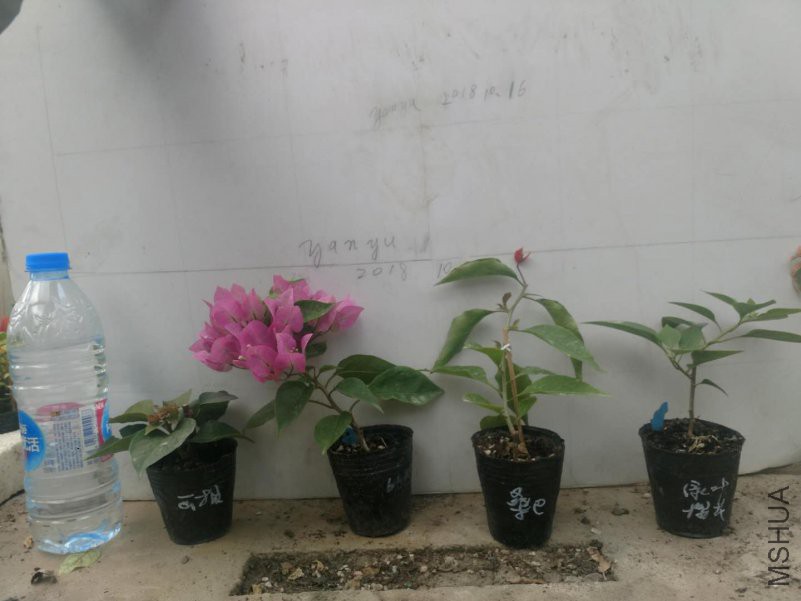 ΢��ͼƬ_20181018211719.jpg