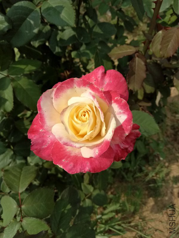 2018.9.12����