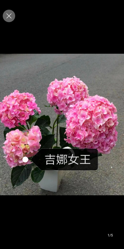 IMG_20180909_182010.png