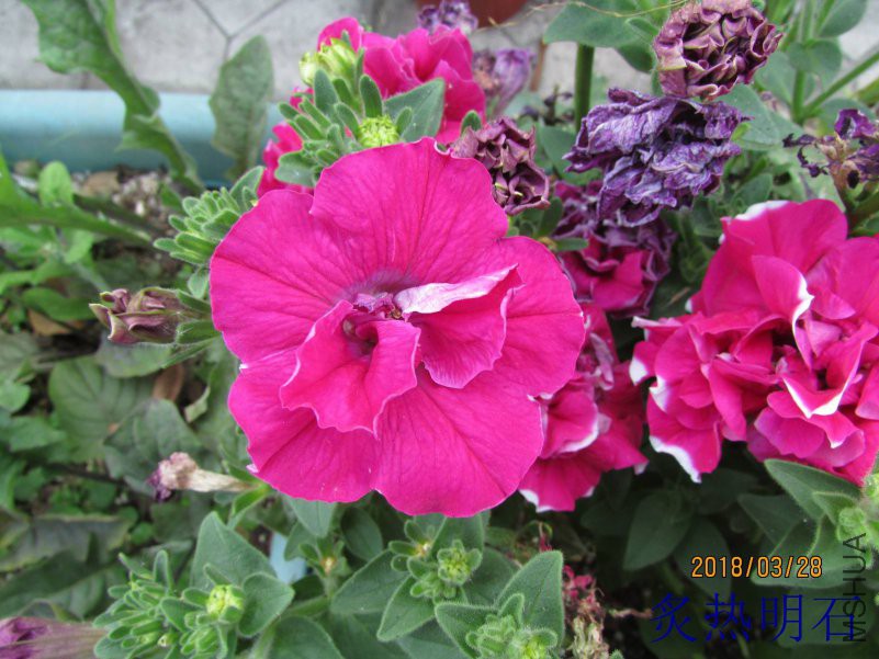 IMG_726816.jpg