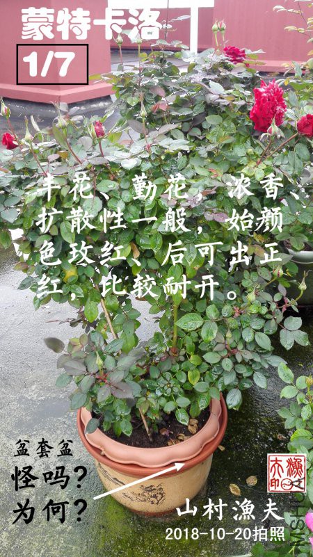 A01.jpg