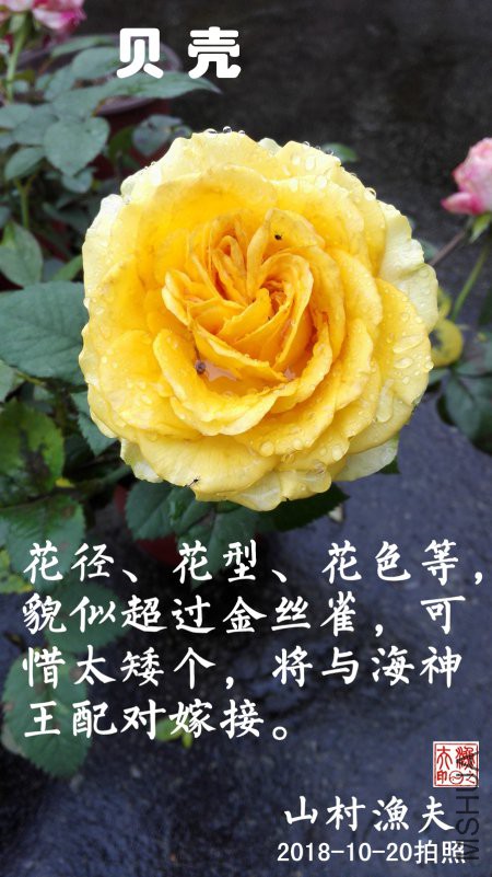 C03.jpg