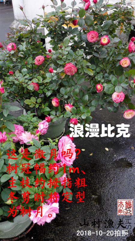 B02.jpg