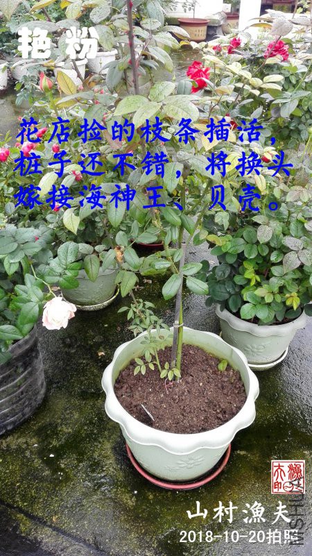 C01.jpg