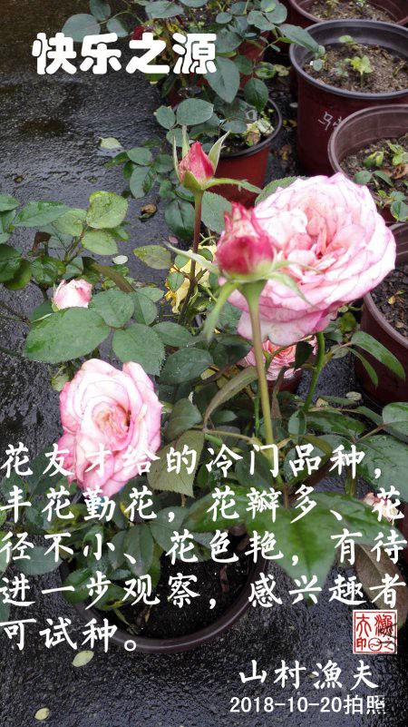 D01.jpg