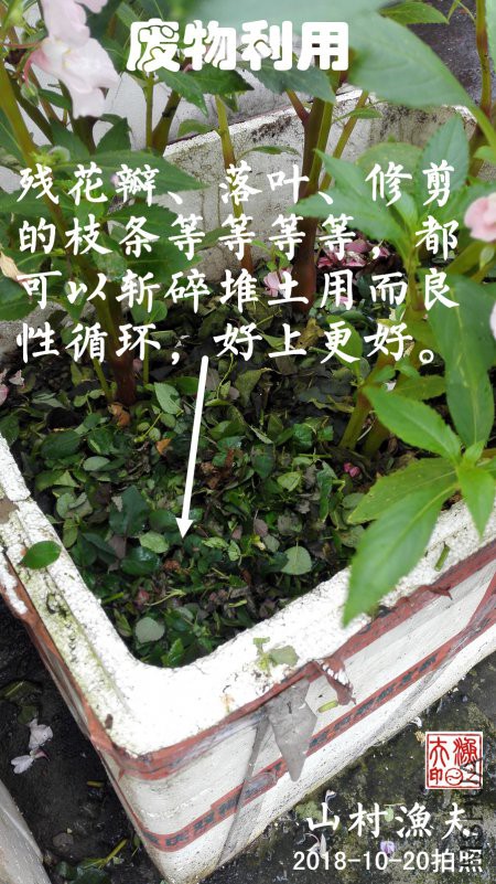 D03.jpg