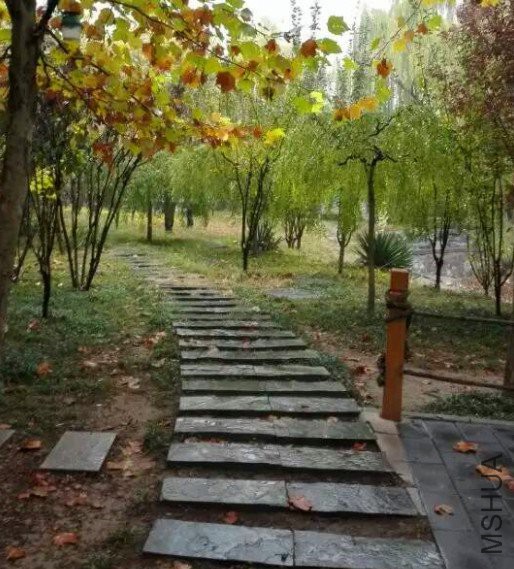 QQͼƬ20181021090253.jpg