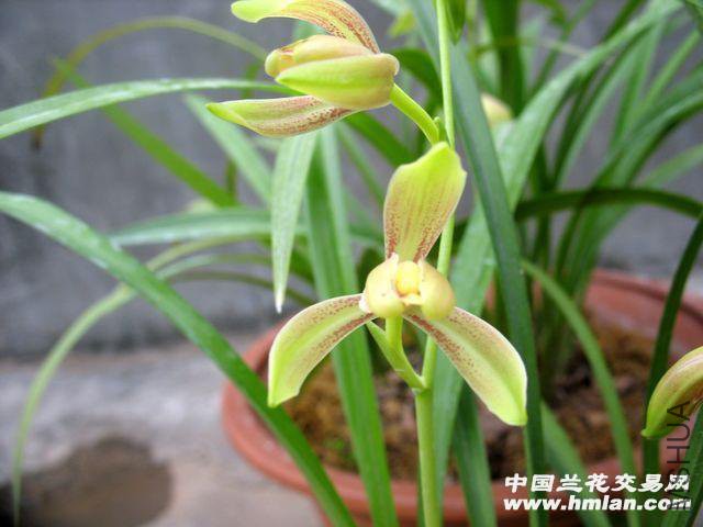 d06d4eae-2980-463b-b2ec-7edb1254642f.jpg