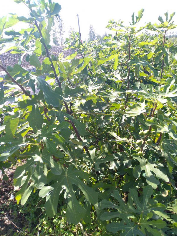 ΢��ͼƬ_20181022164734.jpg