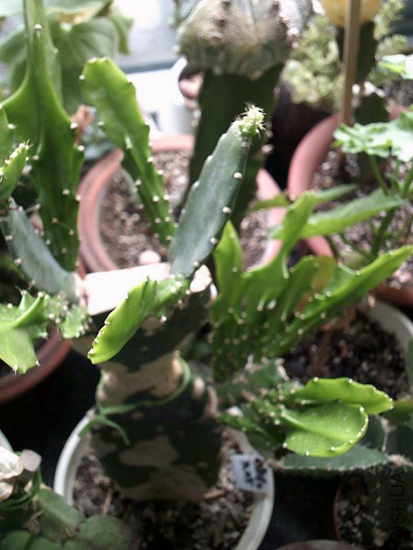 DSCF0004 (4)_����.jpg