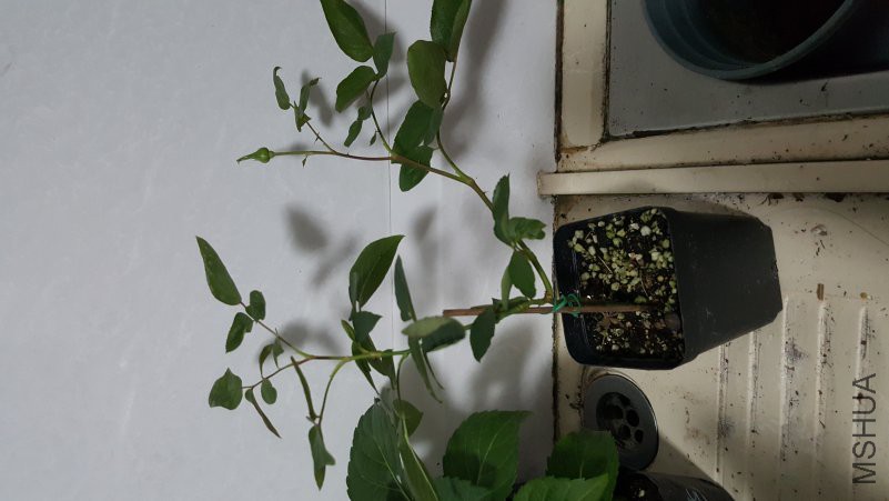 20181023_213238.jpg