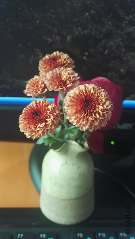 ΢��ͼƬ_20181024125605.jpg