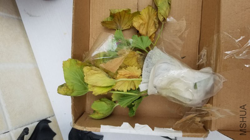 20181020_144438.jpg