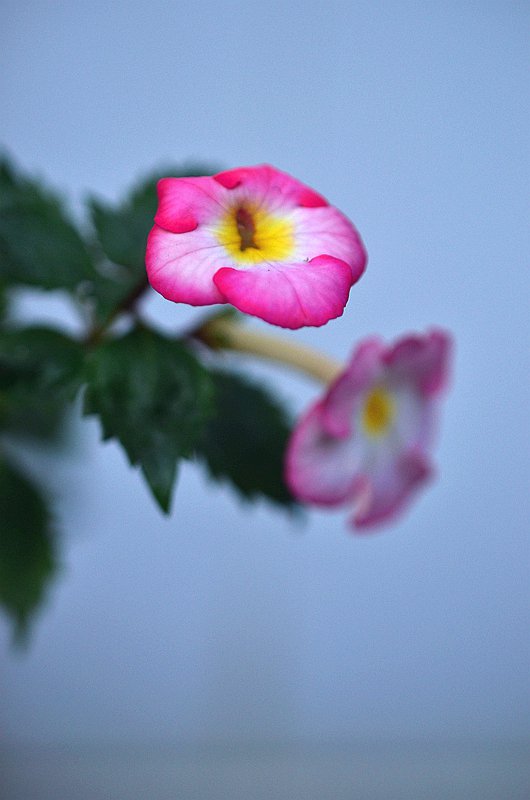 ����̦�Ƴ�Ͳ���������ȡ� (1).JPG