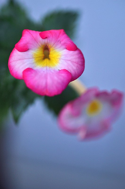 ����̦�Ƴ�Ͳ���������ȡ� (2).JPG