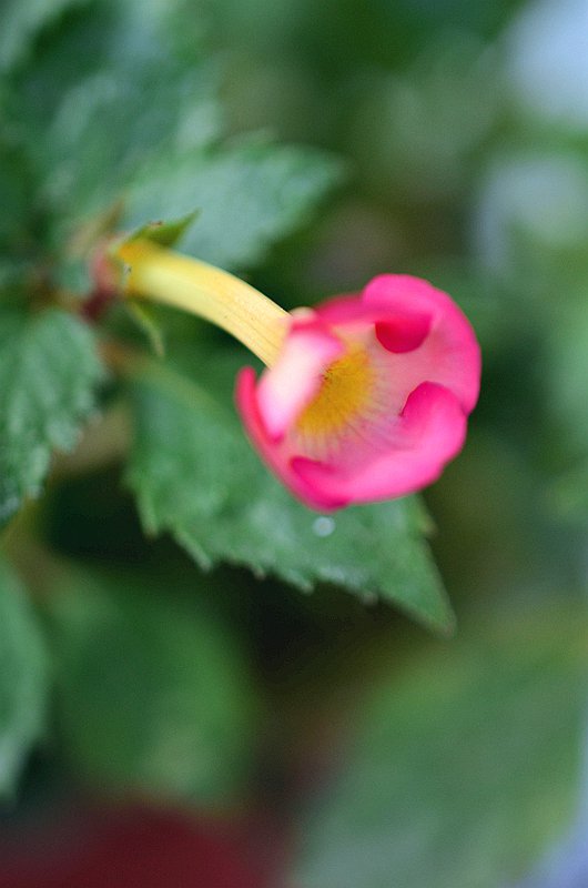 ����̦�Ƴ�Ͳ���������ȡ� (7).JPG