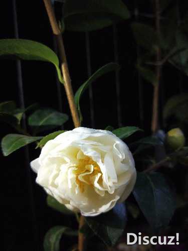 IMG20181017204446.jpg