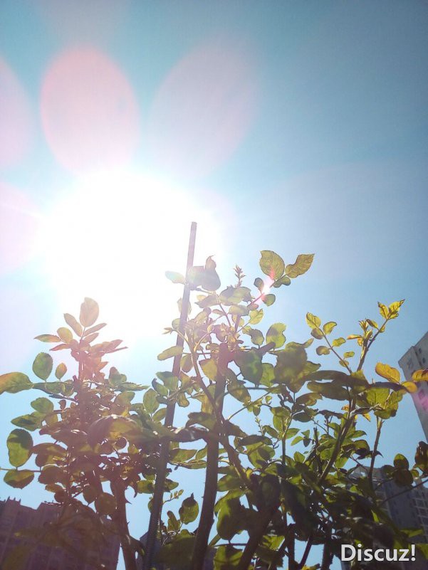 QQͼƬ20181027160037.jpg